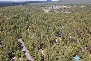 3011 S Wapiti Ln, Pinetop, AZ 85935 - Photo 5