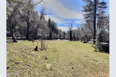 415 E Rim Estates Trail, Payson, AZ 85541 - Photo 47