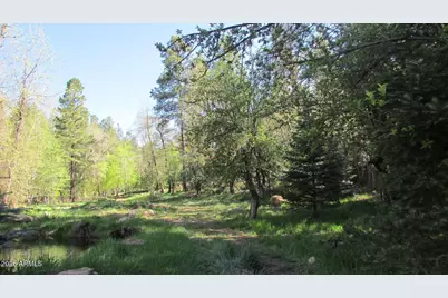 415 E Rim Estates Trail, Payson, AZ 85541 - Photo 67