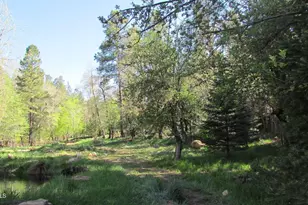 415 E Rim Estates Trail, Payson, AZ 85541 - Photo 67