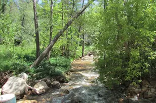 415 E Rim Estates Trail, Payson, AZ 85541 - Photo 69