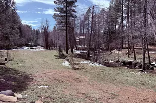 415 E Rim Estates Trail, Payson, AZ 85541 - Photo 45