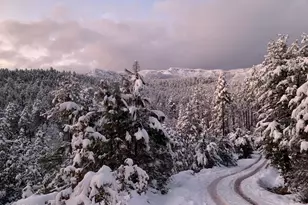 415 E Rim Estates Trail, Payson, AZ 85541 - Photo 43