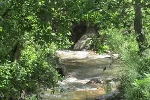 415 E Rim Estates Trail, Payson, AZ 85541 - Photo 39