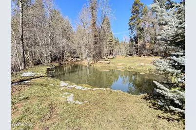 415 E Rim Estates Trail, Payson, AZ 85541 - Photo 55