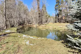 415 E Rim Estates Trail, Payson, AZ 85541 - Photo 55