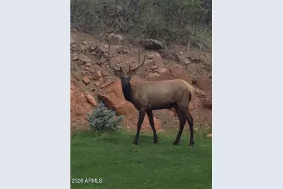 415 E Rim Estates Trail, Payson, AZ 85541 - Photo 57