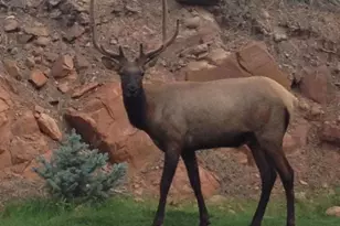 415 E Rim Estates Trail, Payson, AZ 85541 - Photo 57