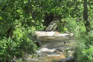 415 E Rim Estates Trail, Payson, AZ 85541 - Photo 73