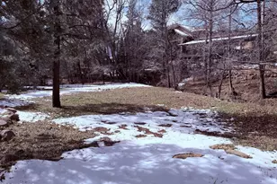 415 E Rim Estates Trail, Payson, AZ 85541 - Photo 51