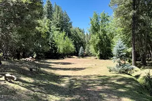 415 E Rim Estates Trail, Payson, AZ 85541 - Photo 35