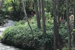 415 E Rim Estates Trail, Payson, AZ 85541 - Photo 5