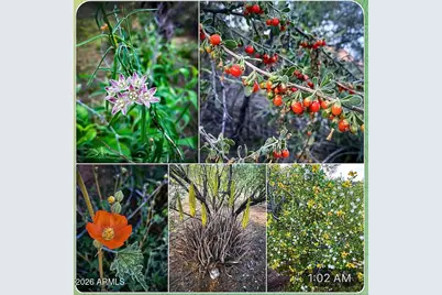 1342 S Datura Drive, Queen Valley, AZ 85118 - Photo 23