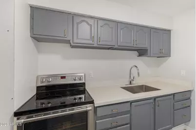 1321 N 48th Place, Phoenix, AZ 85008 - Photo 19