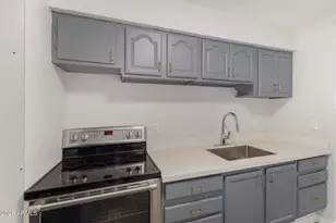 1321 N 48th Pl, Phoenix, AZ 85008 - Photo 19