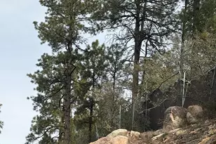 561 E Sally Ln, Prescott, AZ 86303 - Photo 11