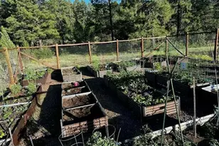 4520 W Tatanka Loop, Show Low, AZ 85901 - Photo 27