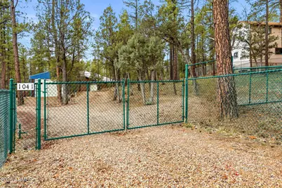 1041 E White Tail Drive, Show Low, AZ 85901 - Photo 43