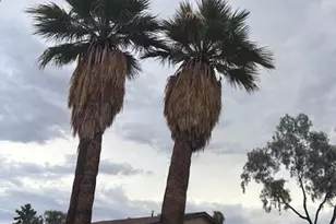 2512 E Larkspur Dr, Phoenix, AZ 85032 - Photo 9