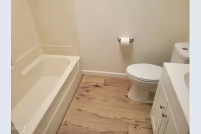 6038 S Alameda Road, Gold Canyon, AZ 85118 - Photo 13