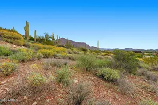 3708 South Vista Loop, Gold Canyon, AZ 85118 - Photo 9