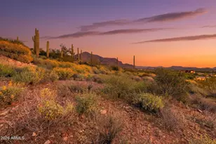 3708 South Vista Loop, Gold Canyon, AZ 85118 - Photo 19