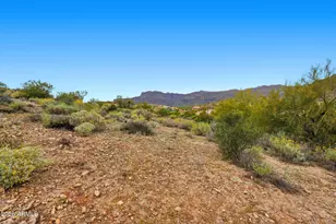 3768 South Vista Loop, Gold Canyon, AZ 85118 - Photo 11