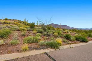 3779 South Vista Loop, Gold Canyon, AZ 85118 - Photo 11