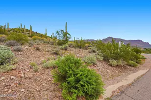 3793 South Vista Loop, Gold Canyon, AZ 85118 - Photo 15