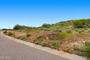 3793 South Vista Loop, Gold Canyon, AZ 85118 - Photo 17