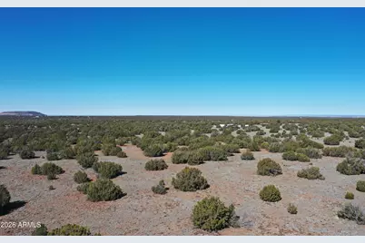 33 Acr 8067 -- #1790 & 1791, Concho, AZ 85924 - Photo 21