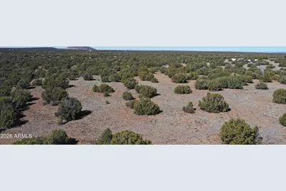 33 Acr 8067 -- #1790 & 1791, Concho, AZ 85924 - Photo 23