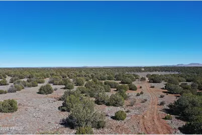 33 Acr 8067 -- #1790 & 1791, Concho, AZ 85924 - Photo 3