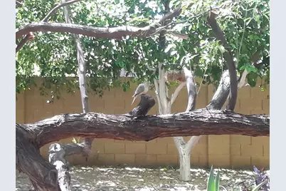 15852 N 50th Street, Scottsdale, AZ 85254 - Photo 9