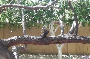 15852 N 50th St, Scottsdale, AZ 85254 - Photo 9