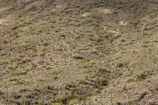 7Xxx N 80th St, Cave Creek, AZ 85331 - Photo 15