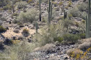 7Xxx N 80th St, Cave Creek, AZ 85331 - Photo 11