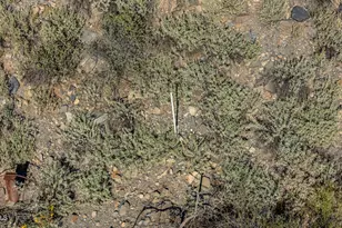 7Xxx N 80th St, Cave Creek, AZ 85331 - Photo 17