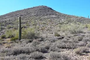 7Xxx N 80th St, Cave Creek, AZ 85331 - Photo 7