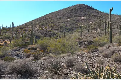 7Xxx N 80th Street #'-', Cave Creek, AZ 85331 - Photo 1