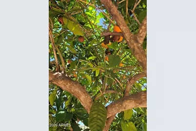 830 W America Street, Wickenburg, AZ 85390 - Photo 37