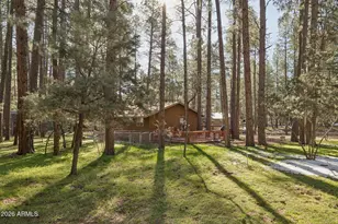 8726 W Emmas View, Pine, AZ 85544 - Photo 3