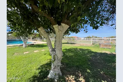 17218 E Starflower Court, Queen Creek, AZ 85142 - Photo 33