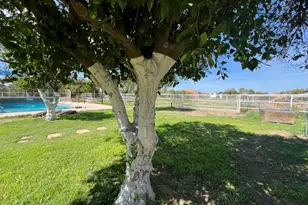 17218 E Starflower Ct, Queen Creek, AZ 85142 - Photo 33