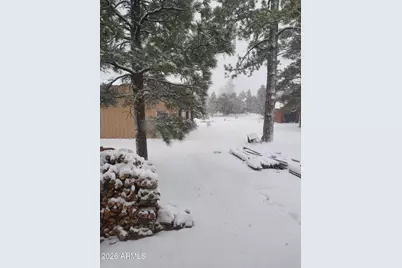 2010 Christmas Pine Road, Overgaard, AZ 85933 - Photo 25