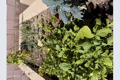 4111 E Molly Lane, Cave Creek, AZ 85331 - Photo 69