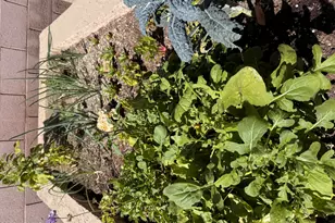 4111 E Molly Ln, Cave Creek, AZ 85331 - Photo 69