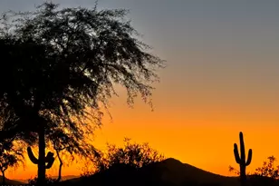 4111 E Molly Ln, Cave Creek, AZ 85331 - Photo 7