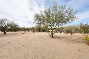 29232 N 60th St, Cave Creek, AZ 85331 - Photo 45