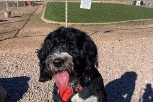 650 N Hawes Rd, Mesa, AZ 85207 - Photo 43